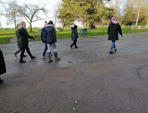 Walk & Talk at Stockwood Park